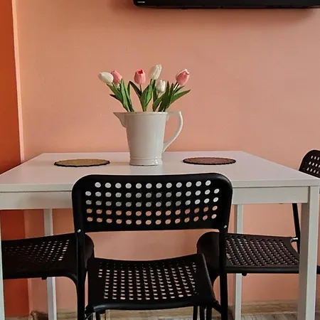 Apartament Aladin Apartment-Center Quiet Free Parking Self Check-In Wi-Fi Wraca