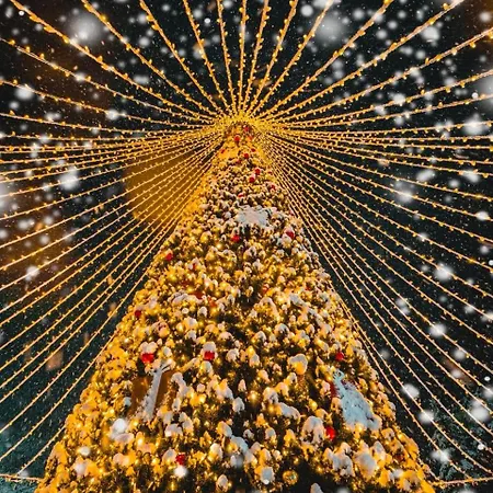 аладин- център *