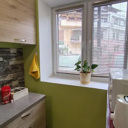 Apartman уютно централно студио