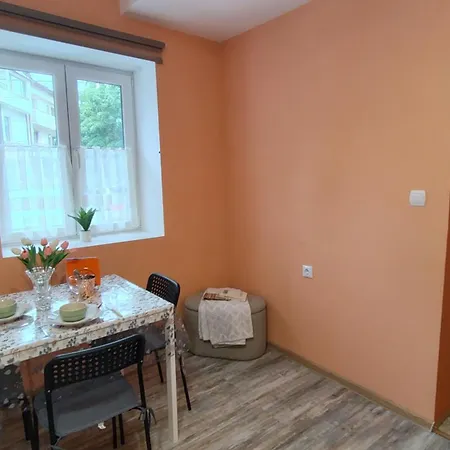 уютно централно студио Apartman Vraca