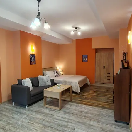 уютно централно студио Apartman Vraca