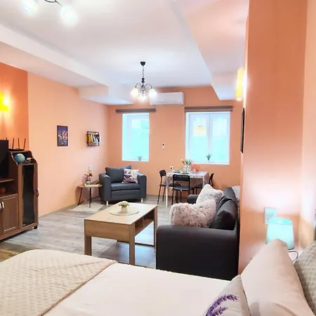 Apartman уютно централно студио