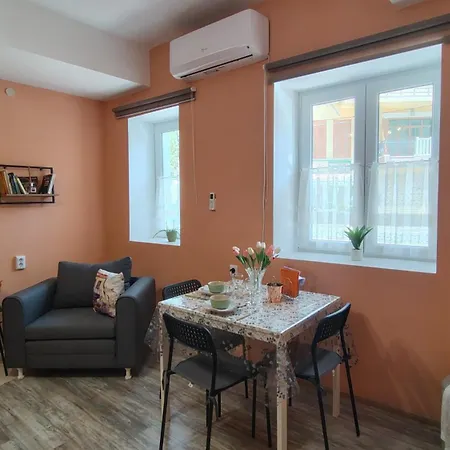 Apartman уютно централно студио *