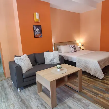 Apartman уютно централно студио