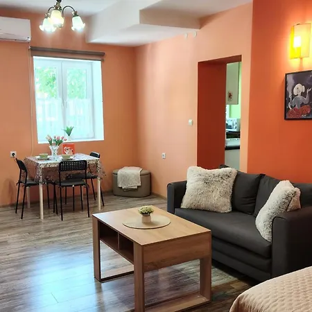 Apartman уютно централно студио *