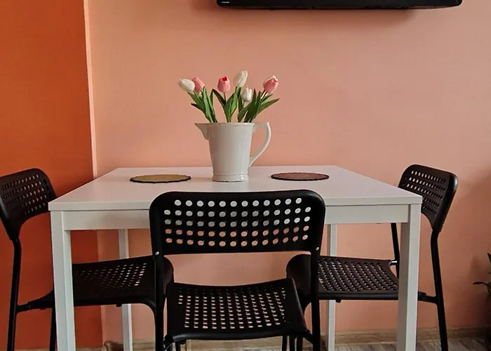 Apartament Aladin Apartment-Center Quiet Free Parking Self Check-In Wi-Fi Wraca