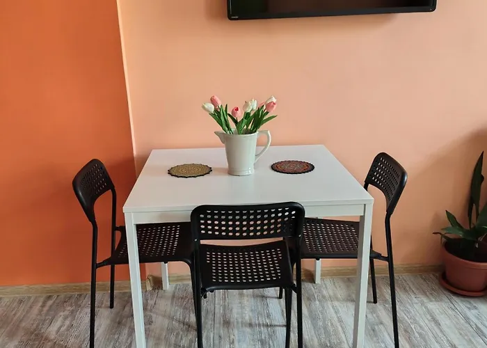 Aladin Apartment-Center Quiet Free Parking Self Check-In Wi-Fi * Wraca