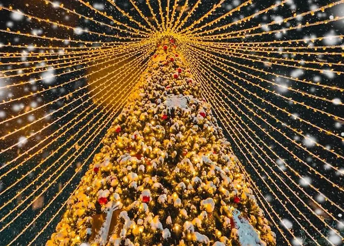 Aladin Apartment-center Quiet Free Parking Self Check-in Wi-fi *